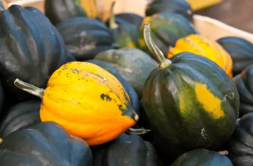 acorn squash puree is an exceptional substitutes for pumpkin puree.
