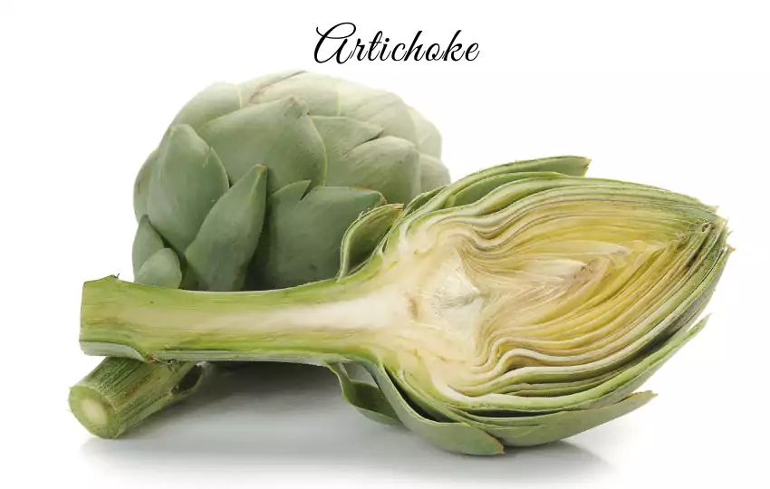 artichoke is a popular substitute for many dishes