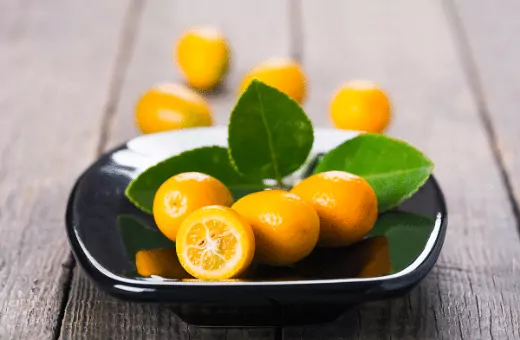 kumquat lemons are bitter in taste and are also used as a replacement for kaffir lime leaves