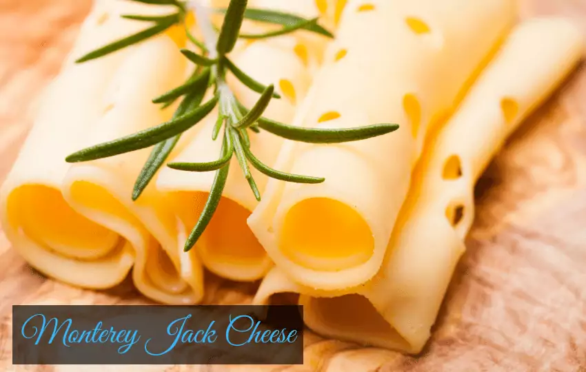 monetery jack cheese substitute