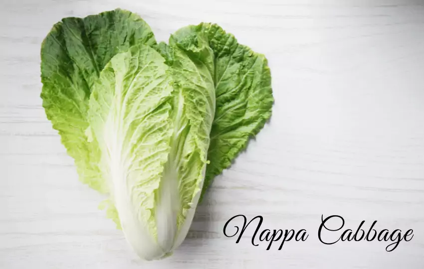 nappa cabbage is a famous vegetable in our kitchen