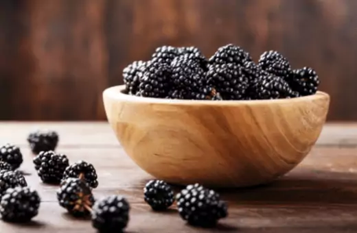 blackberries have a similar taste that can be a replacement for pomegranate in a salad.