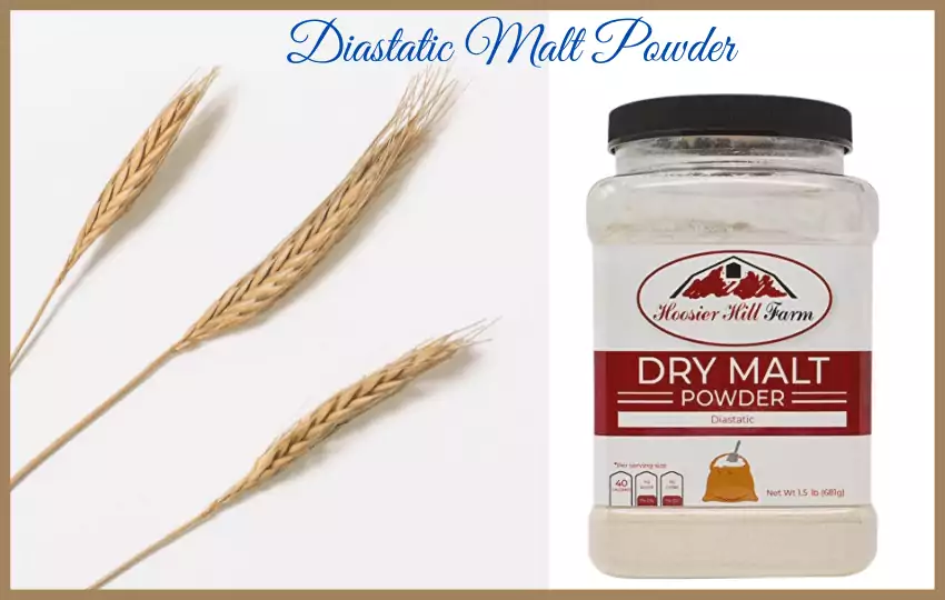 diastatic malt powder is a popular ingredient in kitchen