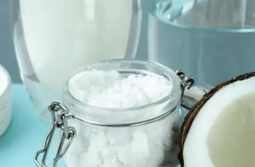 use coconut milk powder instead of diastatic malt powder.
