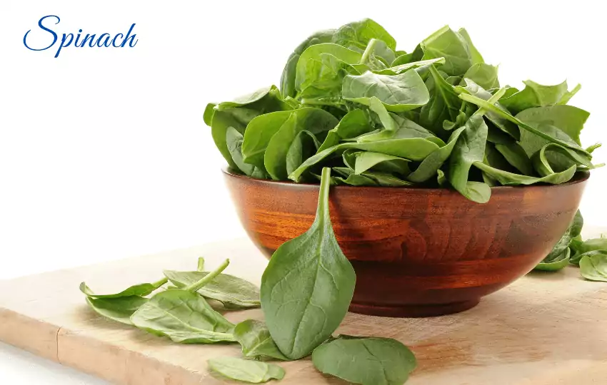 spinach is a tasty vegetable.