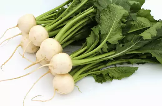 white turnip is a famous substitute for water chestnut.