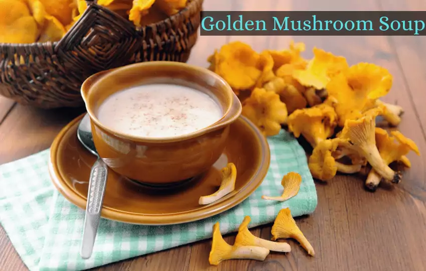 golden mushroom soup is a versatile flavorful recipe with mushroom, beef stock, and tomato puree.