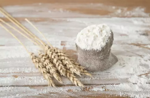 whole wheat flour is a good substitute for 00 flour