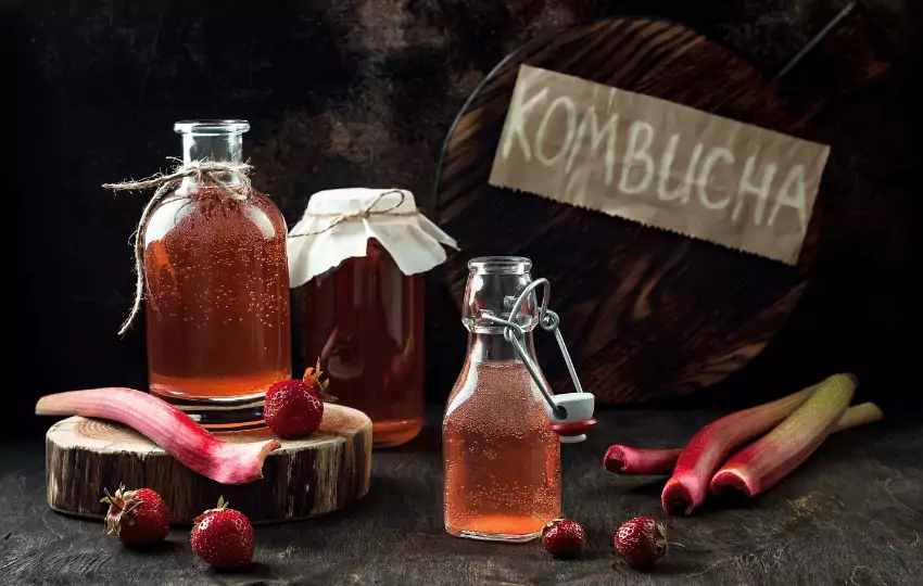 To make kombucha, a SCOBY is used to ferment sweetened tea for about a week. The resulting beverage is a slightly acidic drink containing various B vitamins and other organic acids. 