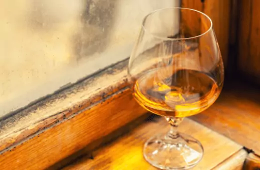 brandy is one the best substitute for cognac