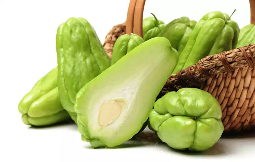 chayote is a squash like vegetable that is common in latin american cooking and can be used in a variety of dishes