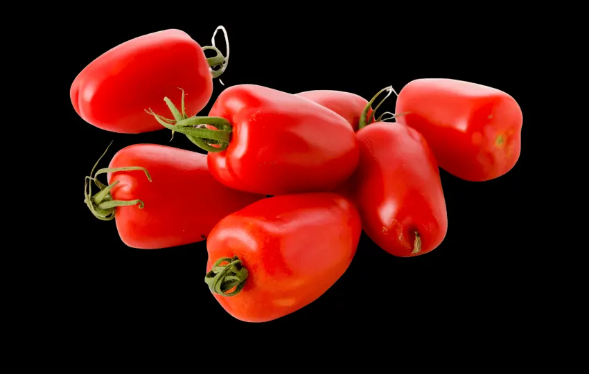 san marzano tomatoes are great to make the sauce and They have a sweet and tart flavor that makes the sauce delicious