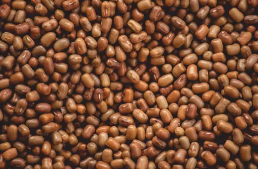turkish gram, also known as moth bean, is an excellent alternative for urad dal in many recipes
