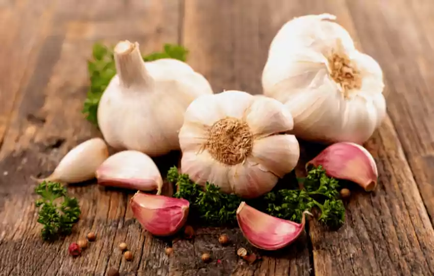 garlic is a common ingredient in many dishes and is also used as a natural remedy for various ailments