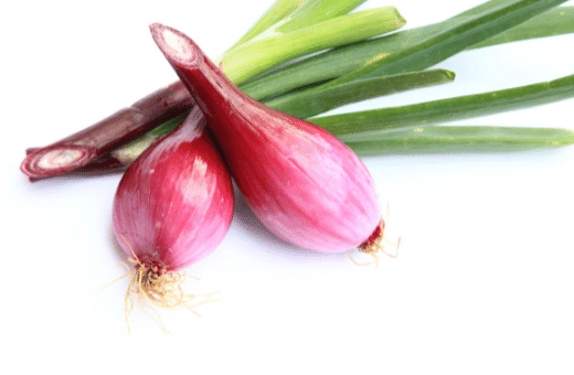 replacing red onion for spring onions is a great way to add some extra flavor and color to your dishes