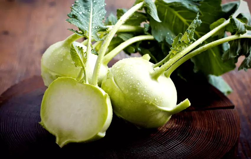 kohlrabi is a type of cabbage that is grown underground