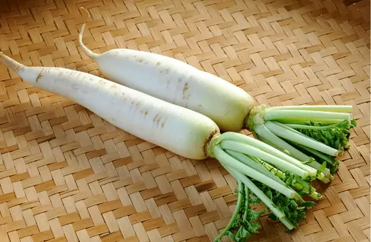 you can try daikon radish as ideal radish substitute in salad