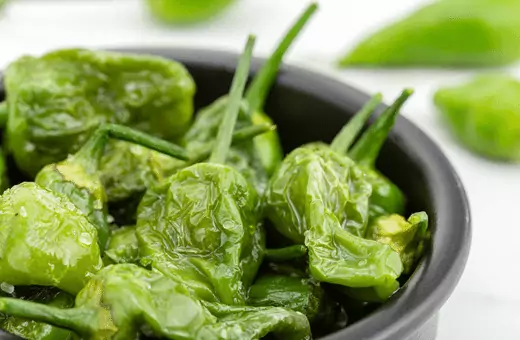 use padron peppers as great alternative for shishito peppers