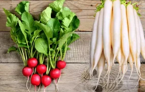 radishes are an excellent addition to salads in many recipe