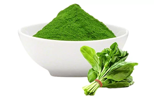 you can use spinach powder as a great kasoori methi substitute