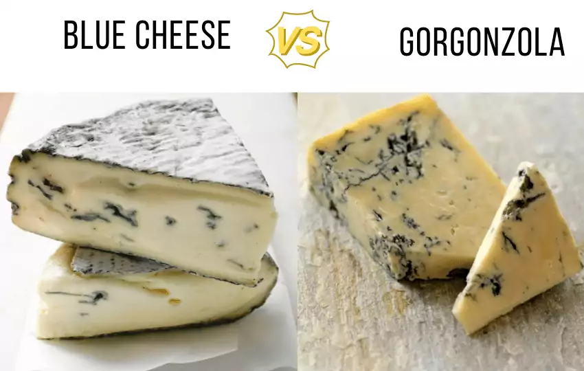 blue cheese vs gorgonzola