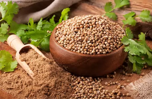 coriander can be used as a substitute for epazote in many dishes