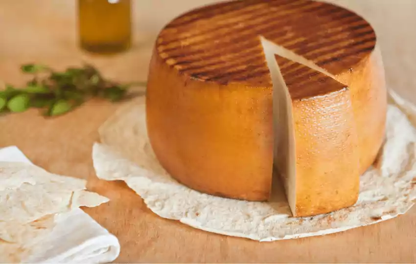 pecorino cheese is a kind of cheese that is made from sheeps milk
