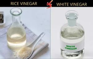 rice vinegar vs white vinegar