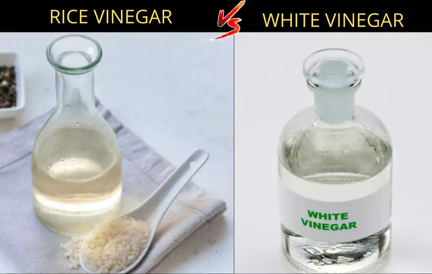 rice vinegar vs white vinegar