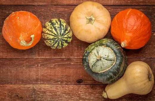 winter squash is a good alternate for butternut squash