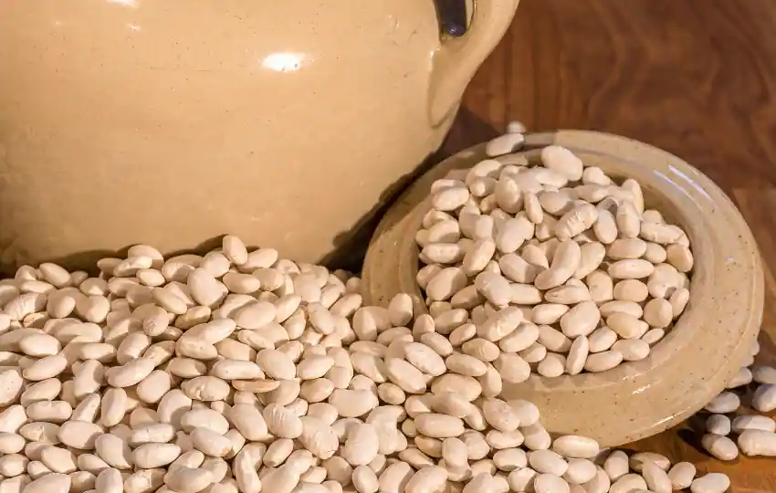 great northern beans are common ingredients in many recipes