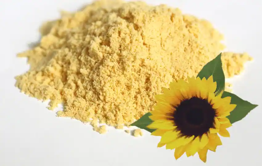 sunflower lecithin is a typical ingredient in many recipes