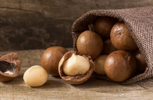 macadamia nut is a great candlenuts substitute  