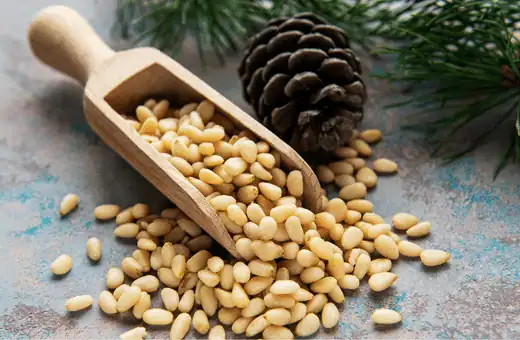 pine nut is a great candlenuts alternative 