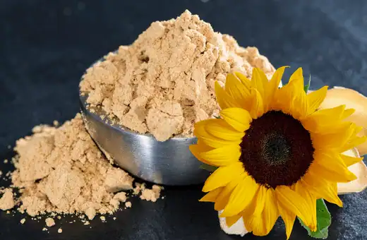 sunflower lecithin is an excellent choice when looking to alternate soy lecithin