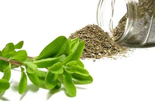 marjoram is a good dried thyme substitute