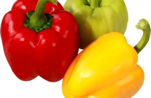 Bell Peppers – an ideal banana pepper substitute