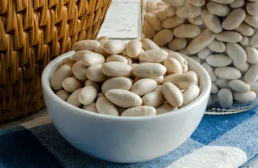 ANNED CANNELLINI BEANS- Good Canned Fava Bean Alternative