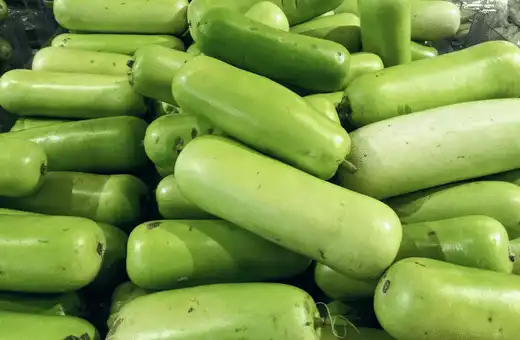 The substitution of fuzzy melon for chayote is a great way to enjoy the flavor of chayote