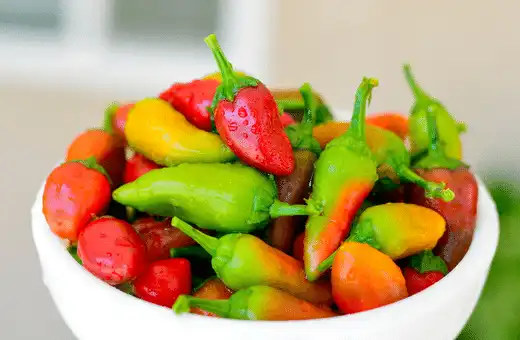 For those who want a little spice in their life, the Fresno chili is a great substitute for the banana pepper.