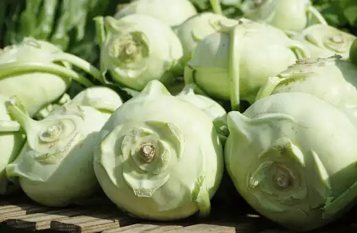 Kohlrabi is a great substitute for rutabagas in soups or stews and casseroles.