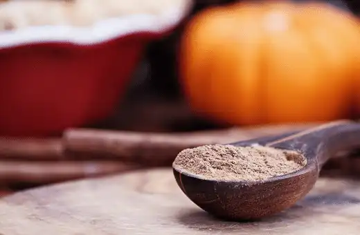 If you don't have any cloves, try using pumpkin pie spice in its place. 