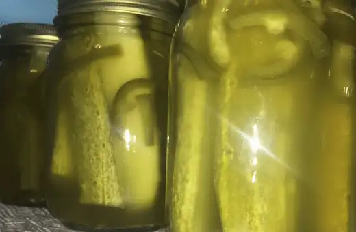 pickled jalapeno