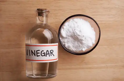 VINEGAR is an  Easy Replacement for Curing Salt 