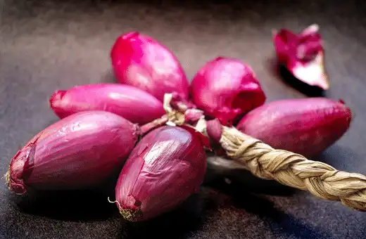 Cipollini onions, also known as Italian onions, are a good substitute for Spanish onions.