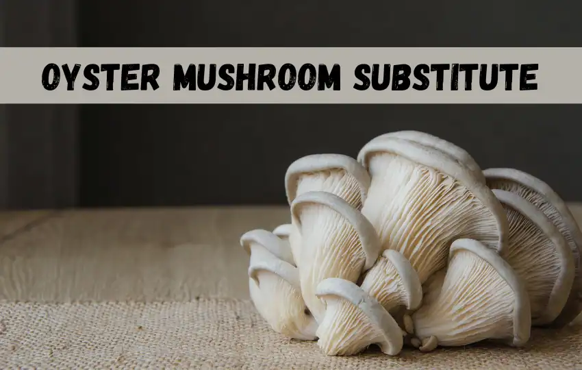 oyster mushrooms surely have a special place in a chef's heart