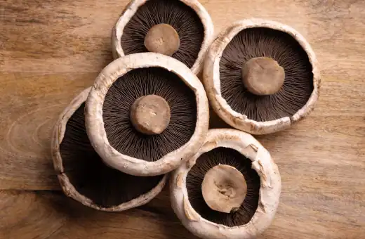 cremini mushrooms makes an excellent substitute for oyster mushrooms