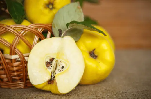 quince is a lesser known fruit that works well as a substitute for bosc pears