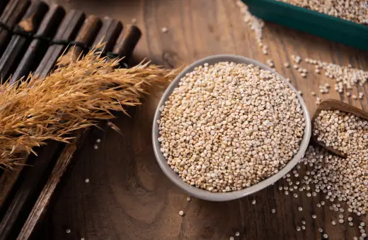 quinoa is one of the most popular substitution for freekeh