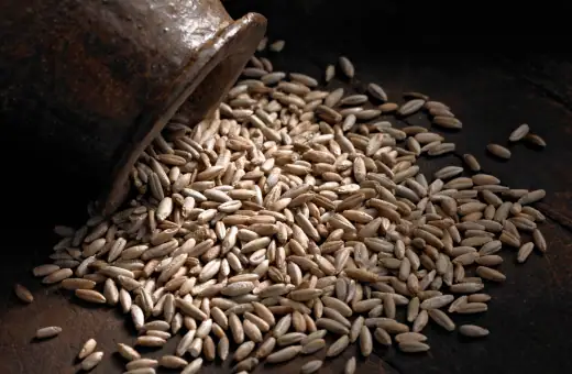 rye berries are great freekeh replacement